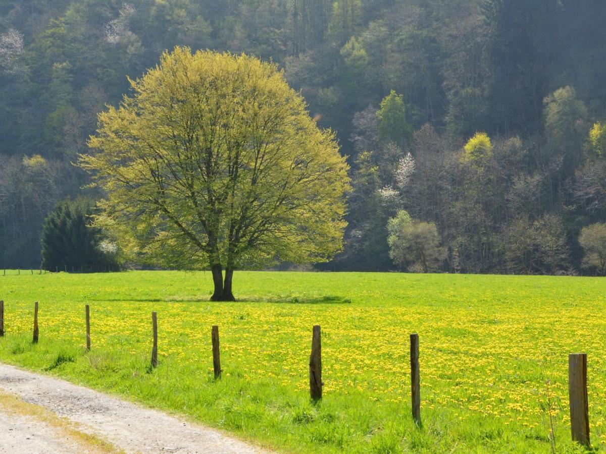 Cozy Holiday Home Near The Forest In Bovigny Gouvy Esterno foto